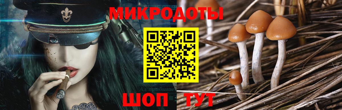 Псилоцибиновые грибы Magic Shrooms  Вход с VPN  Дубна 
